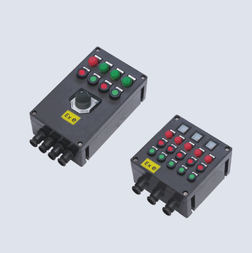 BXK8050-系列防爆防腐控制箱(IIC、 ExtD)